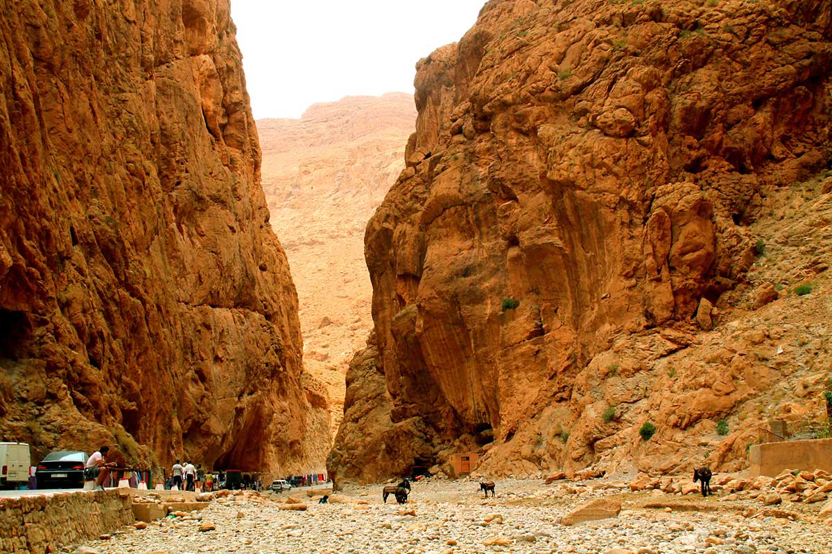 Marrakesh_-_Fez%3A_The_72-Hour_Imperial_Link image