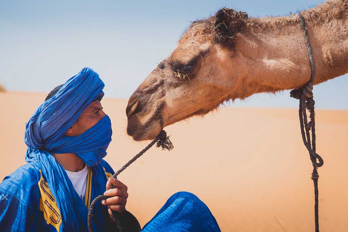 Marrakesh_-_Fez%3A_The_72-Hour_Imperial_Link image