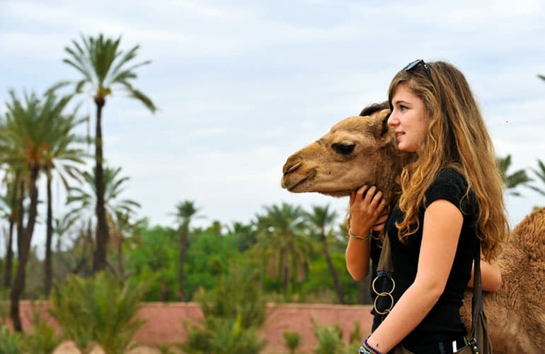 Caravan Reconnect: The Marrakech Camel Trek — photo 4