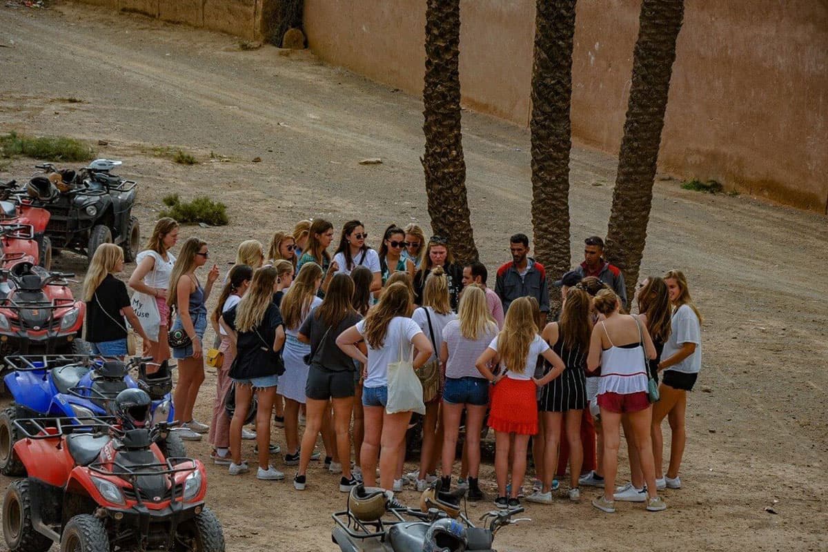 Palmeraie_Quad_Ops%3A_High-Speed_Palm_Grove_Recon image