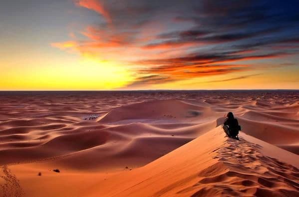 The Desert Infiltration — photo 4