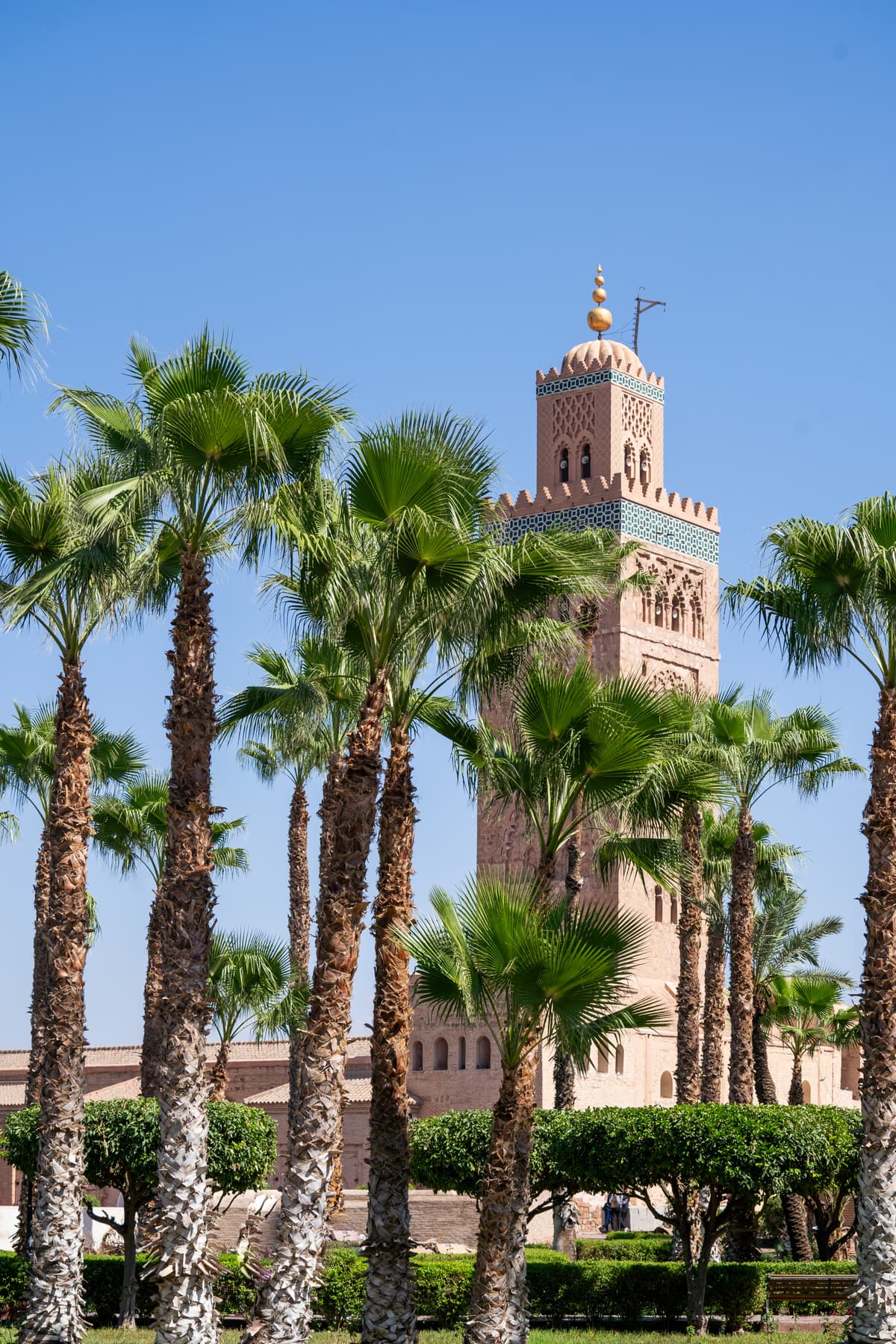 Marrakesh image
