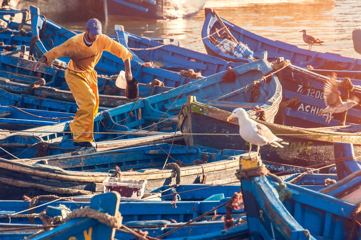 Essaouira: The Atlantic Reconnect — photo 2