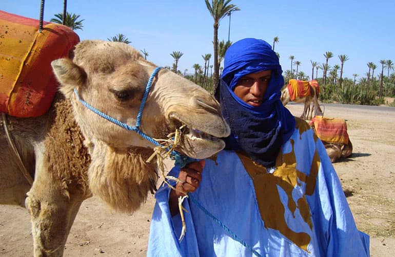 Caravan Reconnect: The Marrakech Camel Trek — photo 2